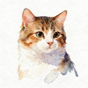 跟着感觉走 (R&B版)