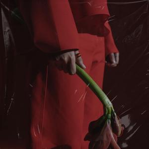 निराशावाद चिंता