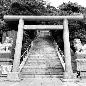 運・金・健・根・鈍