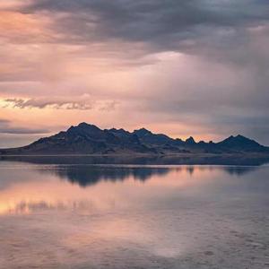 我不停奔跑只为追赶你的脚步