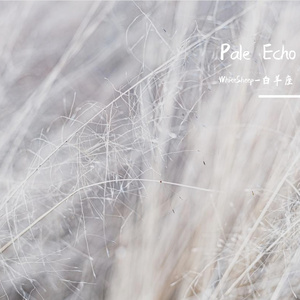 Pale echo