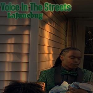 Rapid Take Freestyle