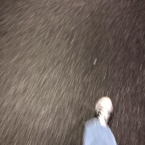 平静地向黑夜中奔去