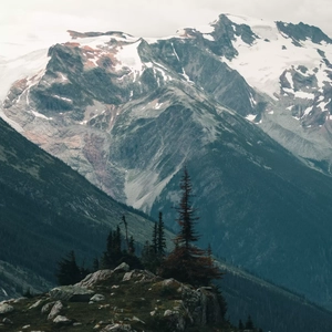 这一生关于你的风景