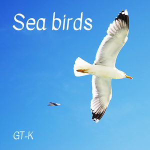 Sea birds