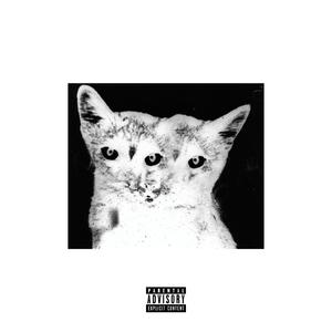 fly by (feat. haluzboy.)