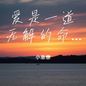 爱是一道无解的命题 (Cover 张小葵)