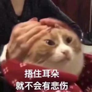 提到了你