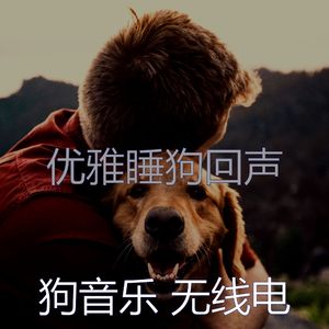 柔和的狗时刻