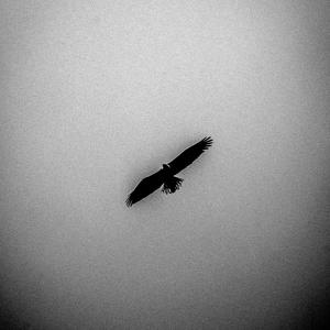 Lendame (feat. Maakuu, Odsy & Sume Made)