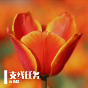 未来的回响