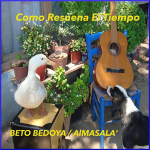 Como Resuena el Tiempo