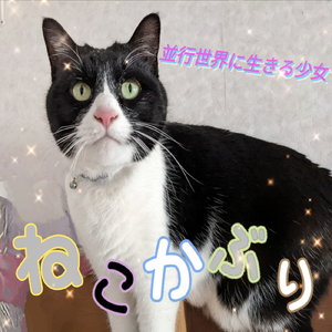 並行世界に生きる少女