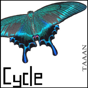Cycle