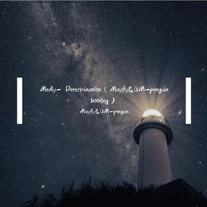Medly- Determination（Mayfly&GM-penguin bootleg）