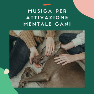 Meditazione dell'isola