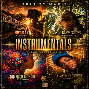 Too Much Goin On (Instrumental)