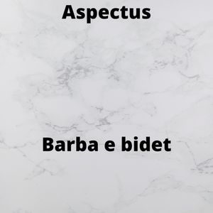 Barba e bidet
