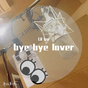 bye bye lover