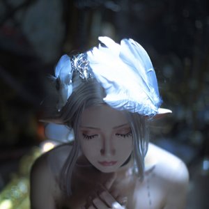 枯树终会有春日 故人难回那年秋