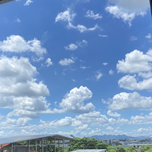 Manic syndrome（躁动乐）