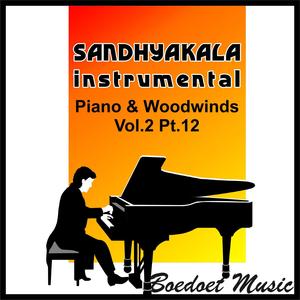 Duet Piano With Woodwinds-Subcontrabass_Saxophone (feat. Sandhyakala Instrumental)