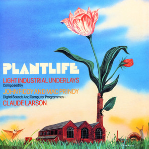 Plantlife (Remastered)