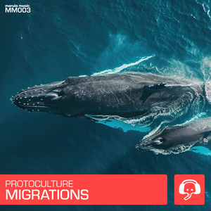Migrations (Extended Mix)