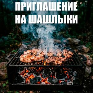 НА ШАШЛЫКИ!