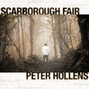 Scarborough Fair - Peter Hollens