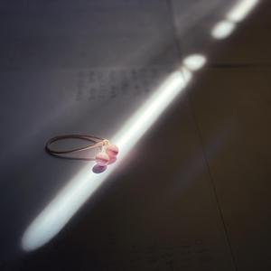 喇叭花 Morning Glory