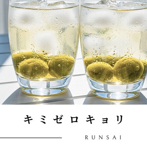 キミゼロキョリ -ボクといつまでも-