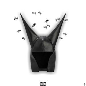 W0AH (feat. seekr)