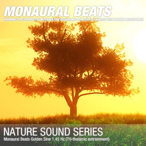 Monaural Beats Golden Sine 1.45 Hz (Tri-thalamic entrainment) 06
