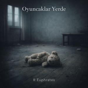 Oyuncaklar Yerde