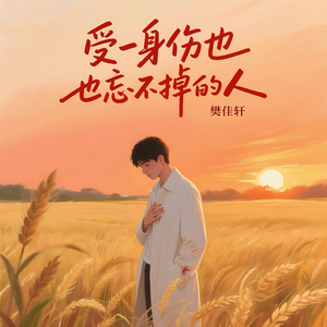 受一身伤也忘不掉的人(和声伴奏)