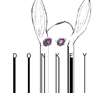 Donkey