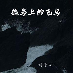 孤岛上的飞鸟 伴奏