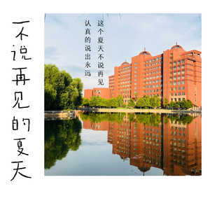 不说再见的夏天