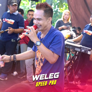 Weleg