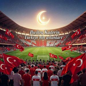 Turkiyenin aslanlari