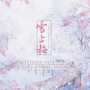 雪上梅