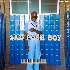 POSH (Beautiful) (feat. SerAphim)