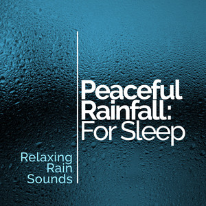 Tree Branch Raindrops