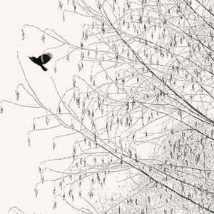 [FREE]"Winter"Guitar Type Beat