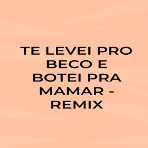 Te Levei pro Beco e Botei pra Mamar (Remix)