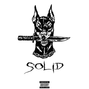 2Solid
