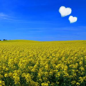 Love For Ukraine Blues (feat. Fredrik Tibblin)