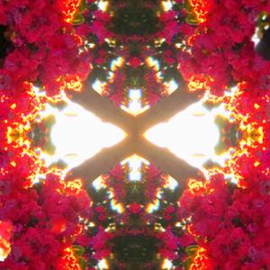 Icarus (feat. 00junm)