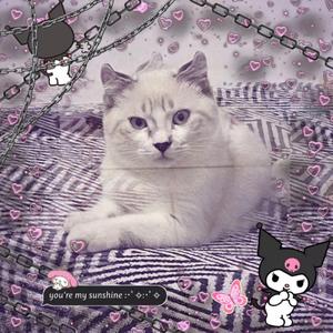 这是首很温柔的歌（prod.Zy）